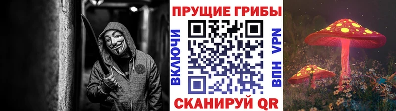 Купить закладки  Салават  Псилоцибиновые грибы Magic Shrooms 